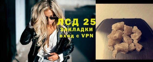 ПСИЛОЦИБИНОВЫЕ ГРИБЫ Михайлов