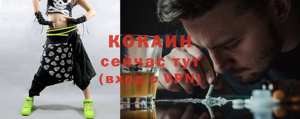 ПСИЛОЦИБИНОВЫЕ ГРИБЫ Михайлов