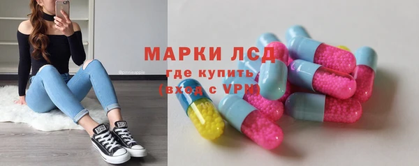 ПСИЛОЦИБИНОВЫЕ ГРИБЫ Михайлов