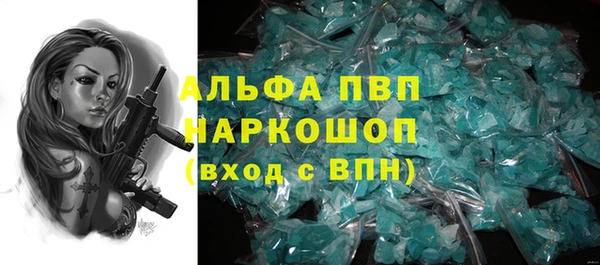 ПСИЛОЦИБИНОВЫЕ ГРИБЫ Михайлов