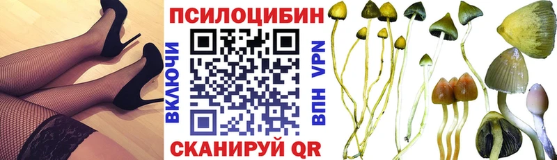 Галлюциногенные грибы MAGIC MUSHROOMS  Похвистнево 