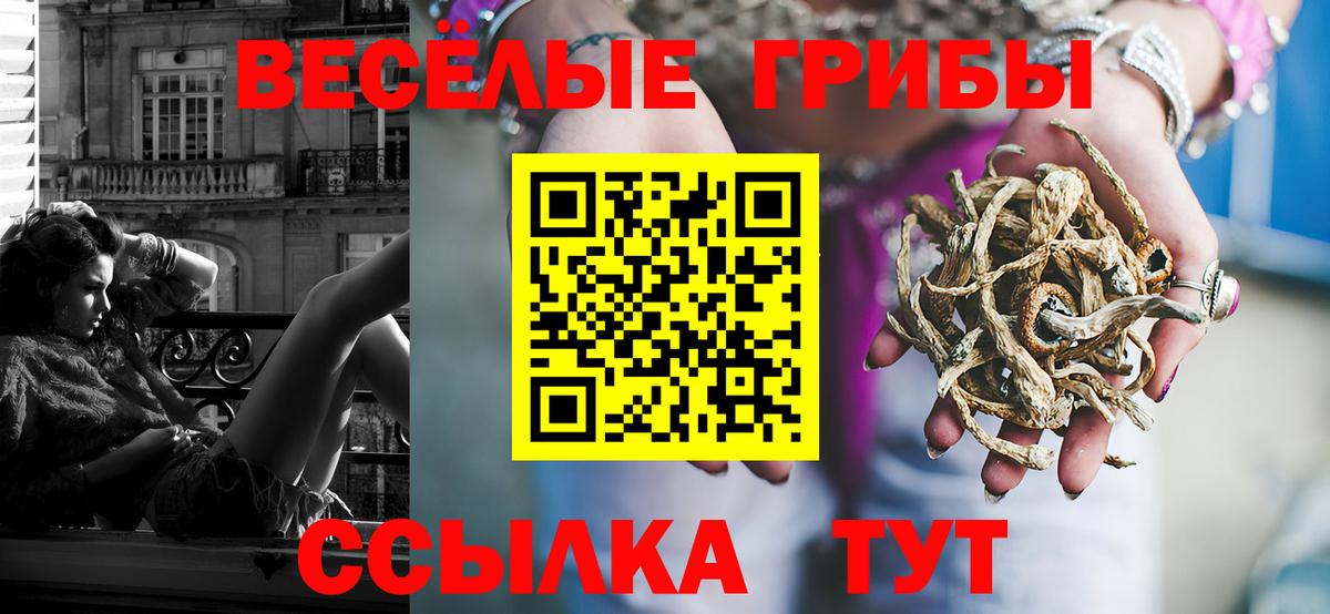 Псилоцибиновые грибы мицелий Похвистнево